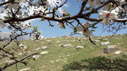 Cementerio armenio de Fahreh, en Aligudarz
