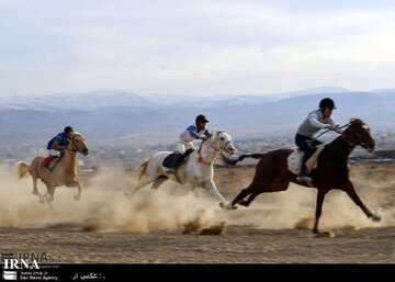 چهارمحال و بختیاری توان تبدیل شدن به قطب پرورش اسب کشور را دارد