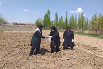 اجرای طرح تغذیه سالم زنان روستایی در ۱۰ روستای میاندوآب