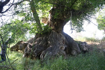 گردشی در روستای اروانه سرخه