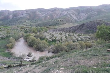 طبیعت دلنشین میاندوآب با شکوفه زدن درختان سیب