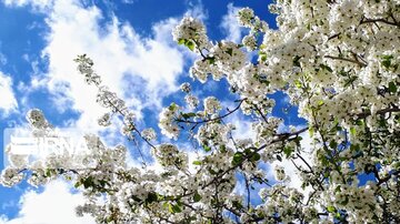 Spring time in Iran's Kerman Sarduiyeh District