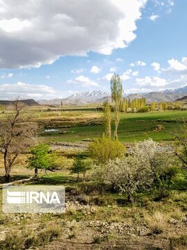 Spring time in Iran's Kerman Sarduiyeh District