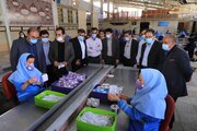 تولید نانو ماسک مورد تایید سازمان انرژی اتمی در شیراز 