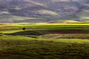 طبیعت بهاری در اردل