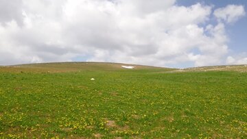 طبیعت زیبای ارتفاعات تکاب پس از باران