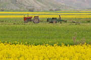 حدود ۳۵ درصد محصولات کشاورزان خراسان شمالی قراردادی فروش رفت
