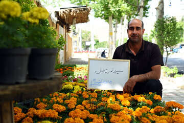 روز شیراز در دل مردم شهر راز