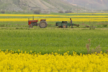 حدود ۳۵ درصد محصولات کشاورزان خراسان شمالی قراردادی فروش رفت