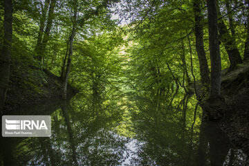 Churat Lake in Northern Irany ; Beauty created by earthquake