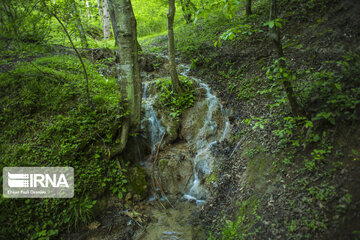 Churat Lake in Northern Irany ; Beauty created by earthquake