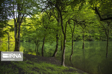 Churat Lake in Northern Irany ; Beauty created by earthquake