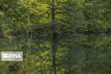 Churat Lake in Northern Irany ; Beauty created by earthquake