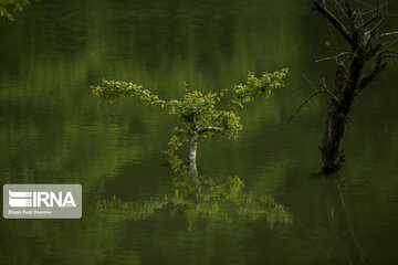 Churat Lake in Northern Irany ; Beauty created by earthquake