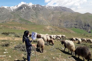 تعطیل ناپذیری آموزش در اشنویه