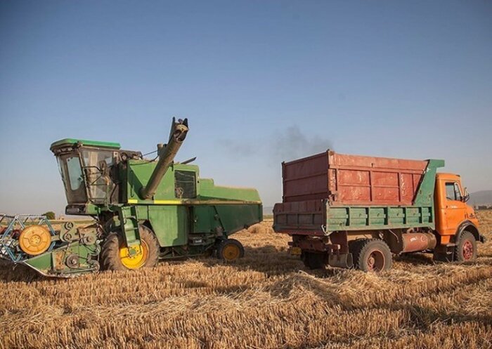 ۳۷ هزار تن گندم از کشاورزان شوشتر خریداری شد