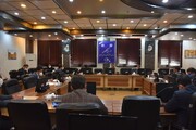 زنجان ۳۵ درصد نیاز زیتون کشور را تامین می‌کند