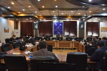 زنجان ۳۵ درصد نیاز زیتون کشور را تامین می‌کند