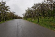 After rainfall in northwestern Iran