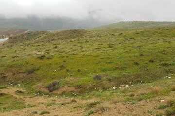 طبیعت زیبا و مه آلود اشنویه