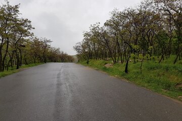 طبیعت زیبا و مه آلود اشنویه