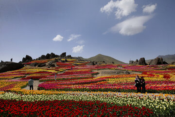 Jardín de tulipanes de primavera en Karay