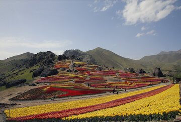 Jardín de tulipanes de primavera en Karay