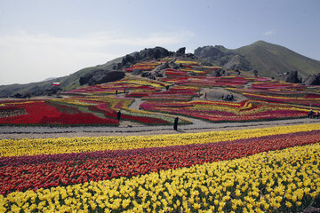 Jardín de tulipanes de primavera en Karay