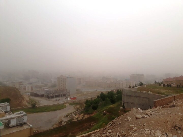 جنگل بلوط ایلام تابآوری دوباره میخواهد