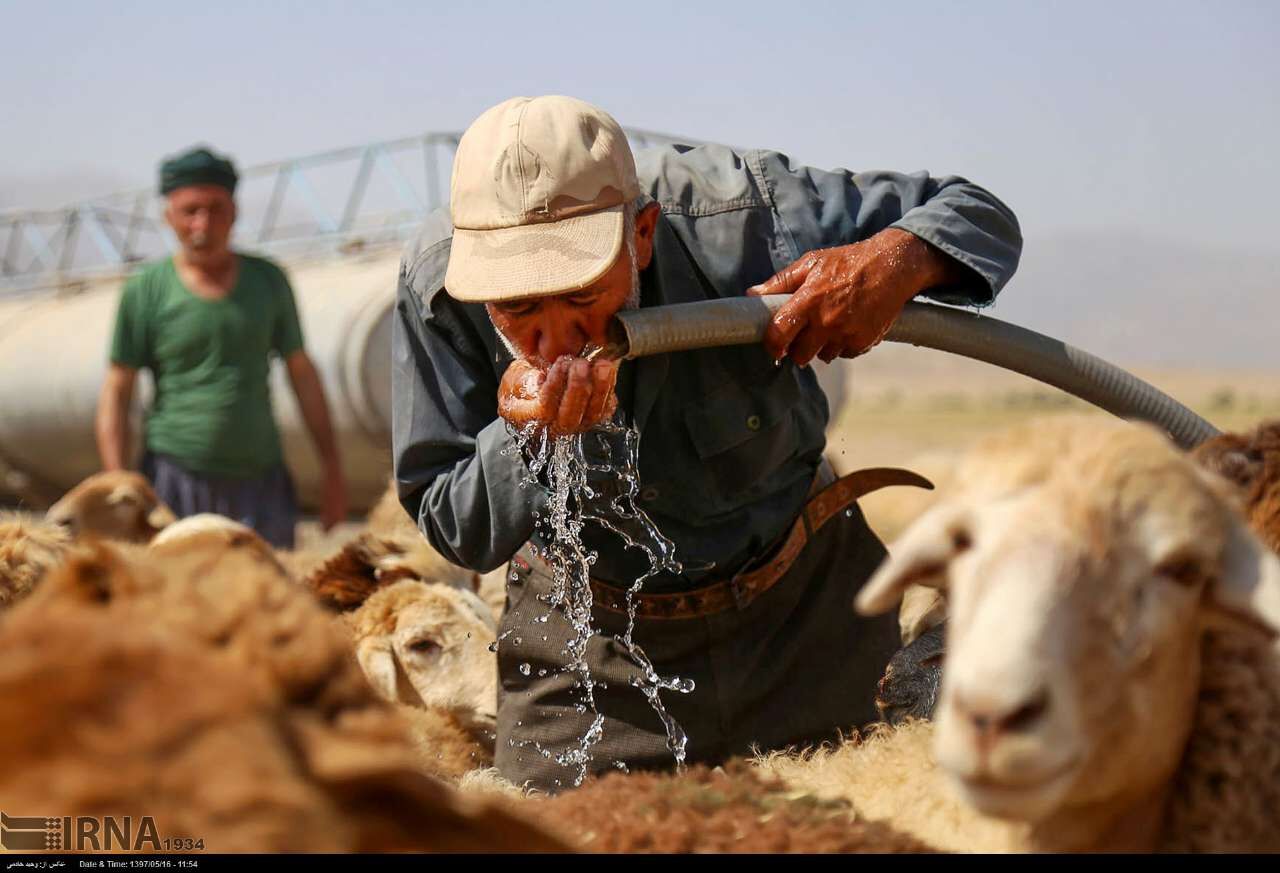 طرح آبرسانی به 850 خانوار عشایری لرستان 70 درصد پیشرفت دارد