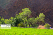 Shongestan Valley; Tourist attraction in Kerman province