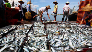 ساوت چاینا: ممنوعیت ماهیگیری در دریای جنوبی چین تنش ها را افزایش داد
