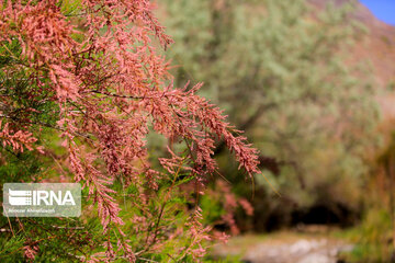 Shongestan Valley in Iran's Kerman