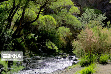 Shongestan Valley in Iran's Kerman