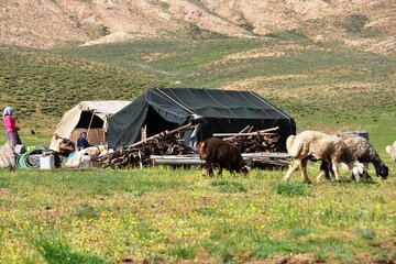 کرونا به زندگی کوچ‌نشینان تهران راه نیافته است