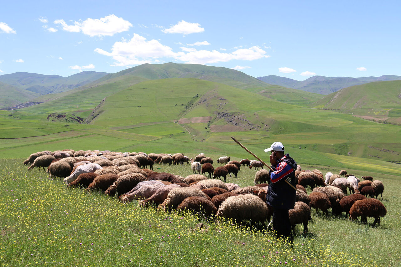 ۱۰ هزار خانوار عشایر آذربایجان غربی در بانک اطلاعاتی ثبت نام کردند