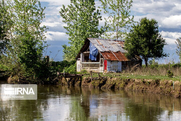 Anzali Wetland in Iran