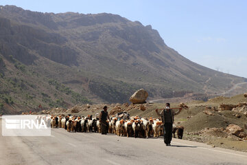 Iran’s Bakhtiari nomads migrating in spring