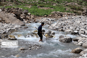 Iran’s Bakhtiari nomads migrating in spring