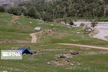 Iran’s Bakhtiari nomads migrating in spring