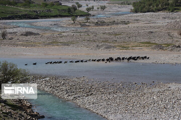 Iran’s Bakhtiari nomads migrating in spring