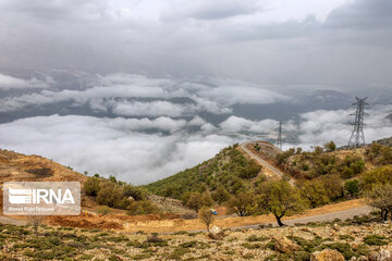 Stunning beauty of spring in Iran