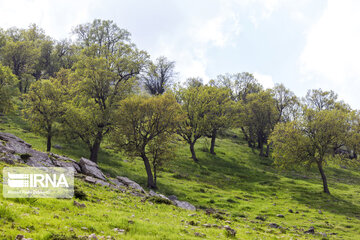 Stunning beauty of spring in Iran