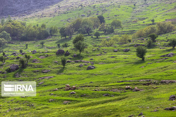 Stunning beauty of spring in Iran