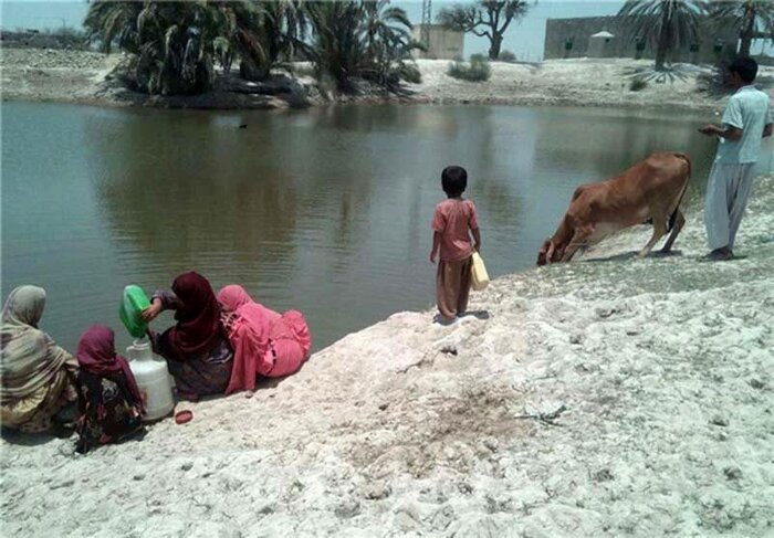 ساماندهی۷۵ هوتک در چابهار و دشتیاری