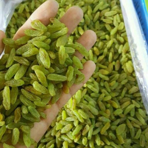 کشمش خلیل آباد خراسان رضوی روی دست باغدار