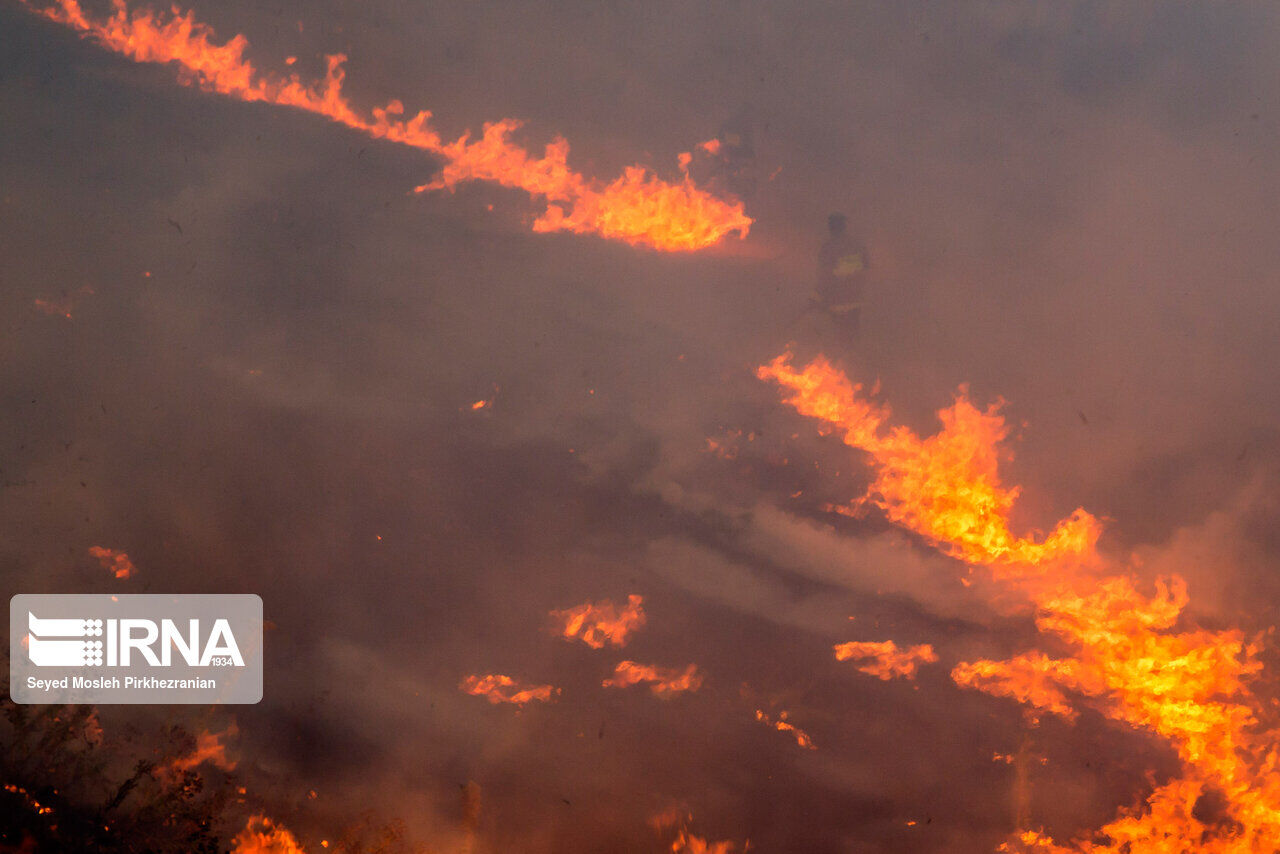 Iranian border guards help Turkmenistan quell fire