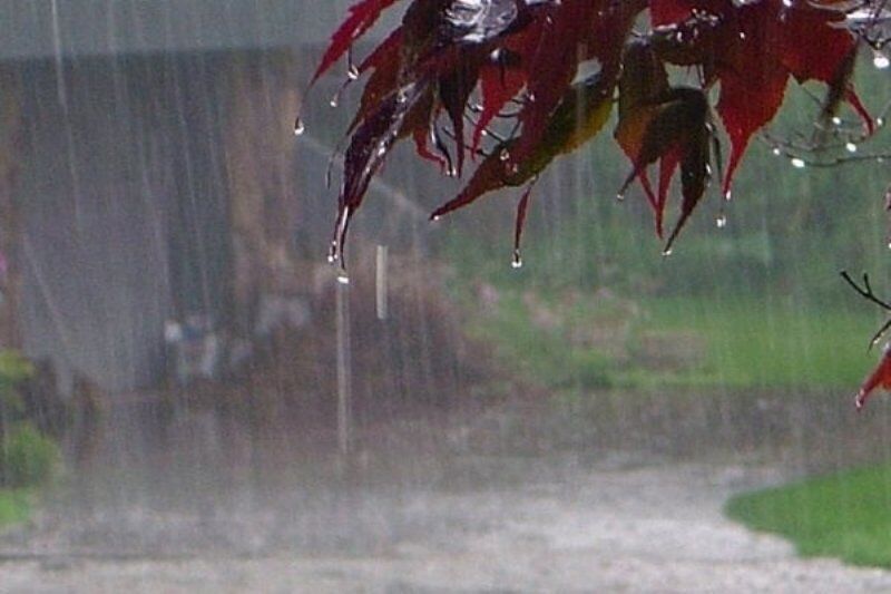 بارش باران در بیشتر نقاط کشور تا اواسط هفته آینده  