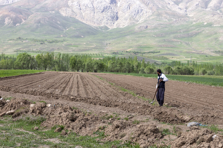 کشاورزیِ از آب و گل رد شده