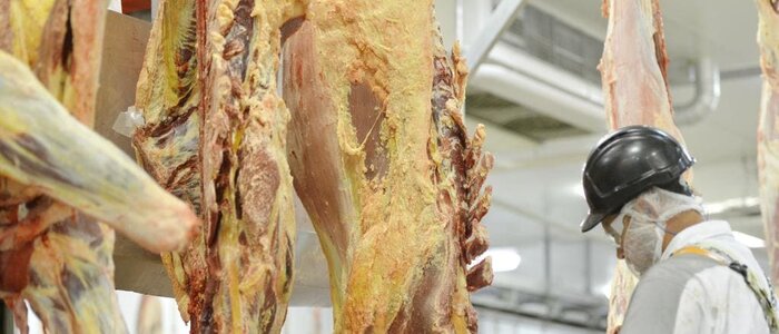 کرونا موجب شد تا چین واردات گوشت استرالیا را به حال تعلیق درآورد